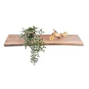 Hylde amerikansk valnød 4 cm (1)