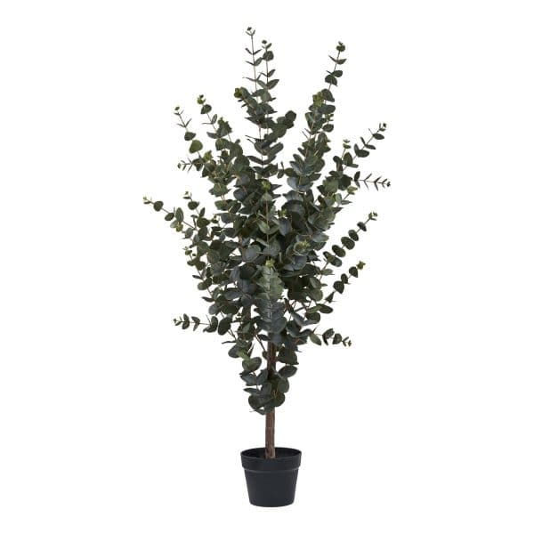 Eukalyptus Træ - Grøn - Planke-bord.dk