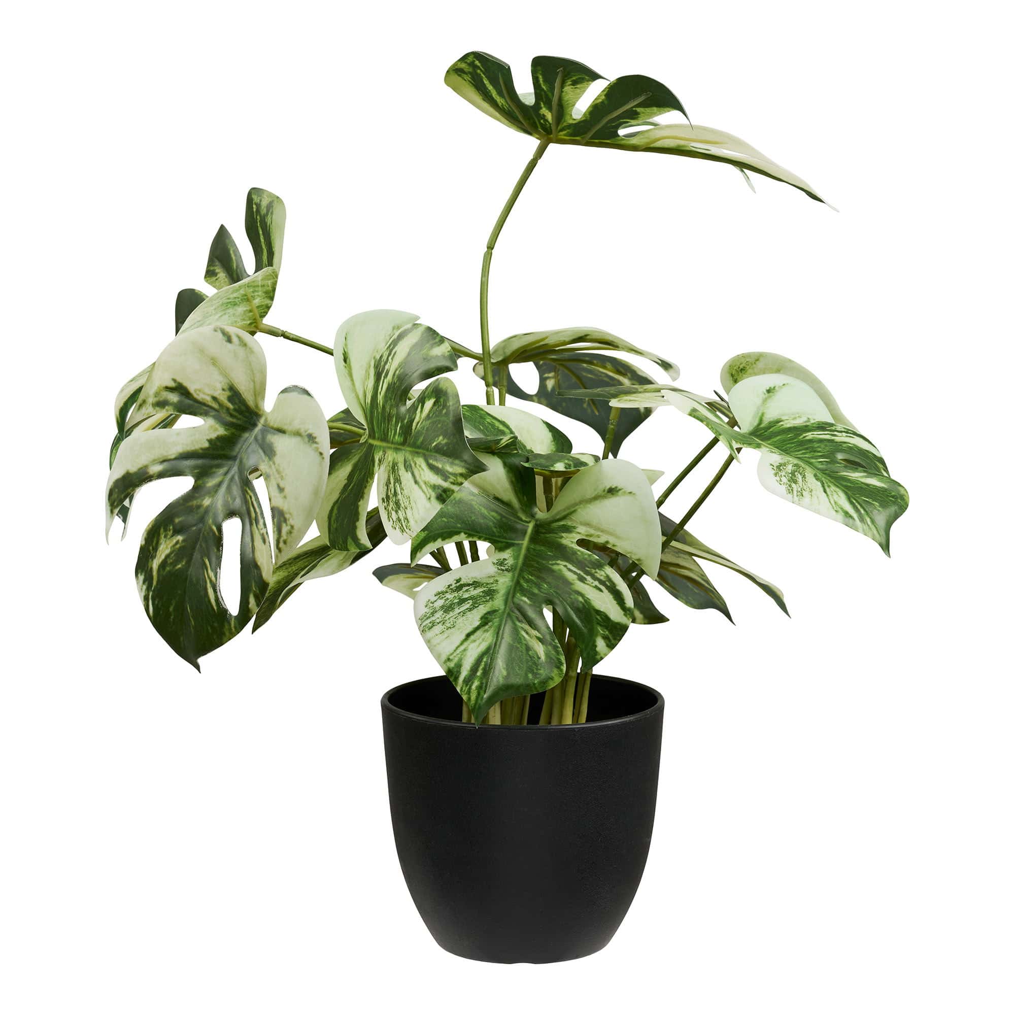 Monstera1 - Grøn